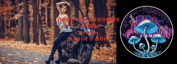 мдпв Фёдоровский